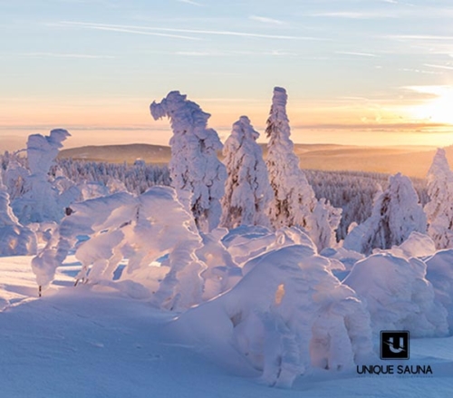 Unique Sauna - Saunaduft - Saunaöl - Unique Store